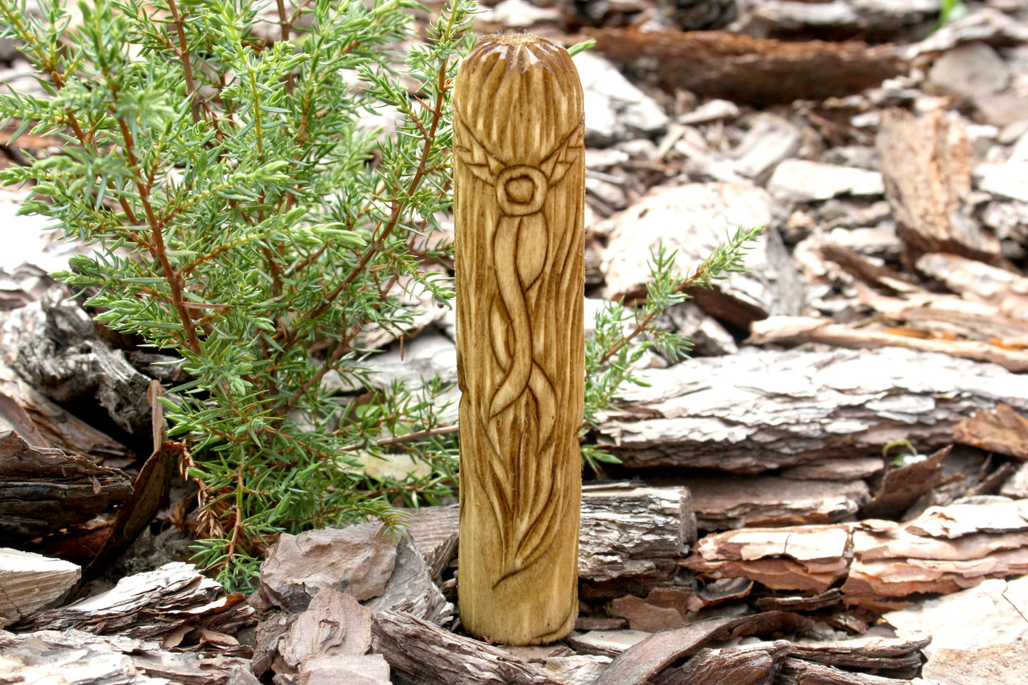 Celtic Goddess ARIANRHOD