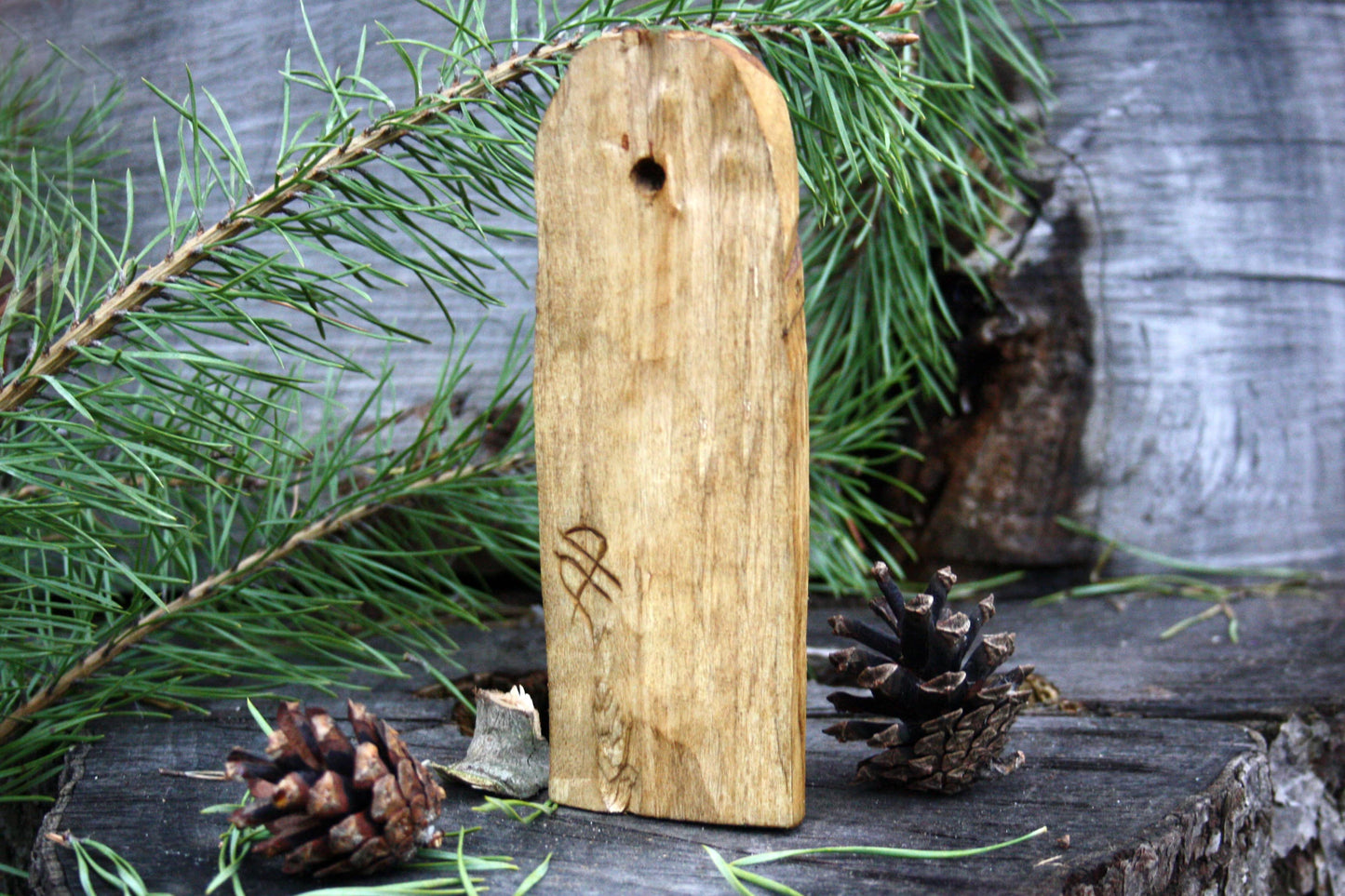 Wooden panel of Norse god TYR