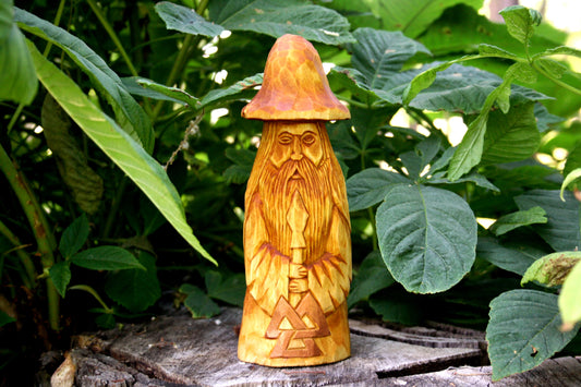 Norse God Odin in a hat. Viking's god.