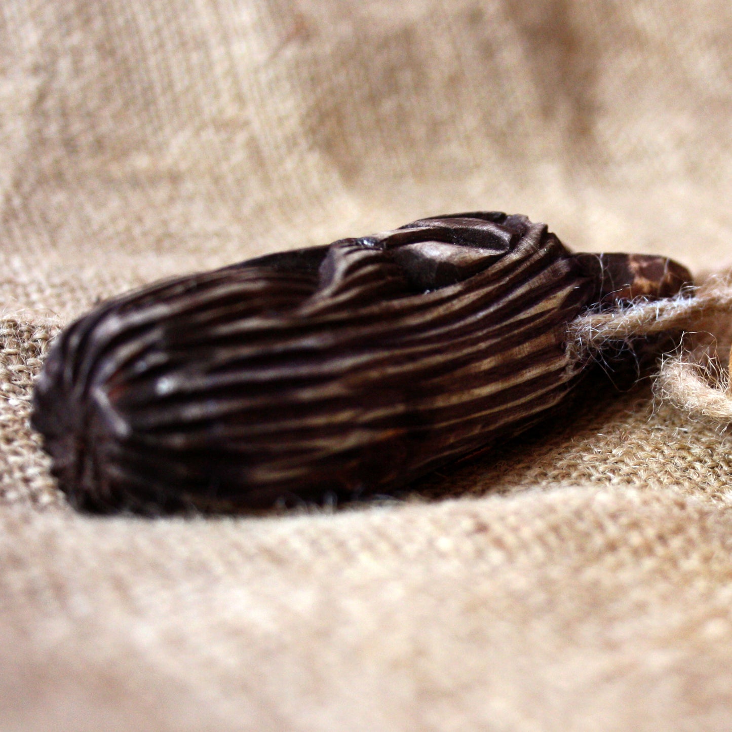 Hand-carved Slavic Veles amulet placed on altar natural wood talisman